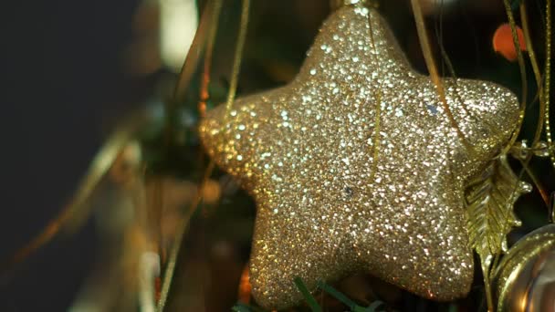 クリスマス ツリーのライトや装飾品 — ストック動画