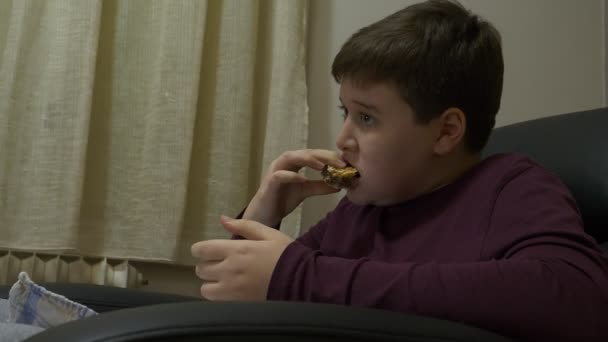 小男孩坐在扶手椅上放松 看电视和吃汉堡包 — 图库视频影像