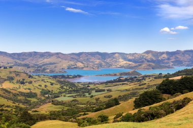 Ekipmanlarımı bay, Akaroa, Yeni Zelanda. Tepenin bir görünüm