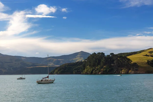 Okyanus bay yakınındaki Akaroa, Yeni Zelanda