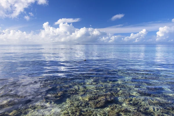 Mar tropical calmo sobre recifes de coral — Fotografia de Stock