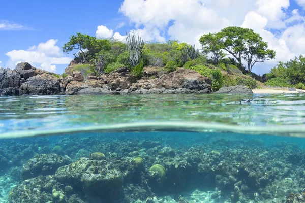 Över under karibiska ön och reef — Stockfoto