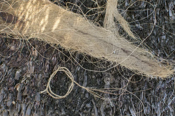 Cordage from coconut palm leaf sheath — Stock Photo, Image