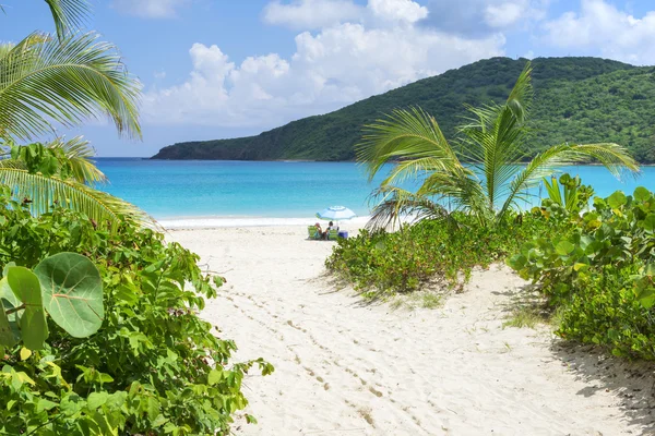 Path to idyllic Caribbean beach — Stock Photo, Image