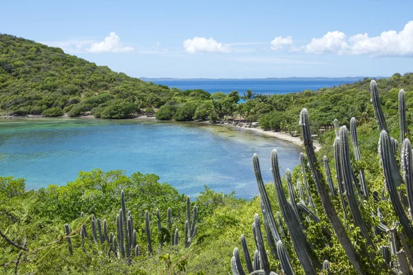 Prachtige Caribische baai en landschap — Stockfoto