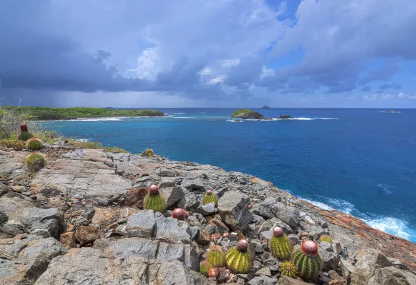 Το βραχώδες σημείο στο νησί της Καραϊβικής — Φωτογραφία Αρχείου