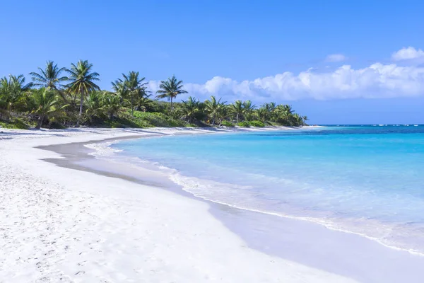 Bella spiaggia caraibica di sabbia bianca — Foto Stock