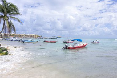 Bir Playa del Carmen, Meksika balıkçı tekneleri