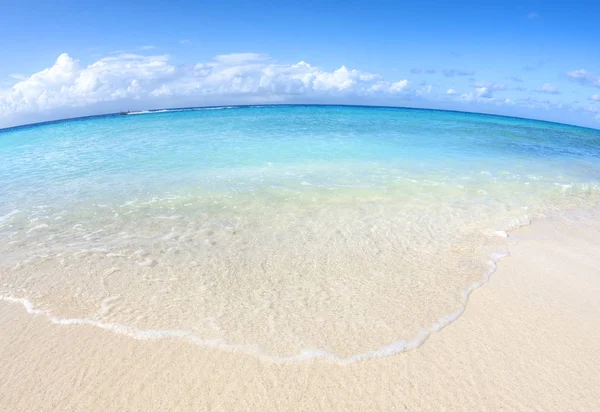 Karibiska stranden fisheye — Stockfoto