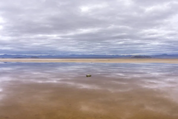 Reflektioner i öknen Oasis — Stockfoto