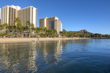 Waikiki beach ve diamond head krater