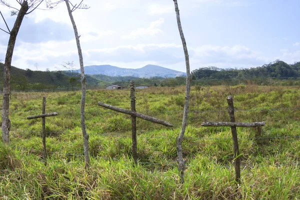 Three wooden crosses in field — Stock Photo, Image