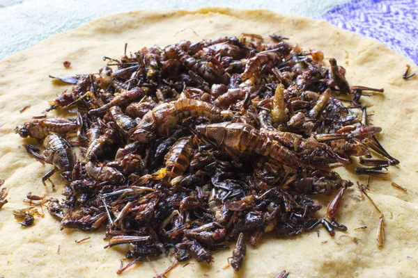 Cocina de saltamontes Oaxaca asada — Foto de Stock