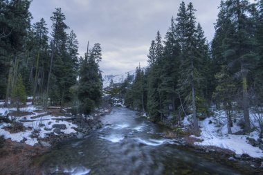 Pasifik Northewest wilderness