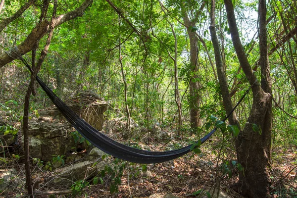 Džungli hamak visí v deštném pralese — Stock fotografie