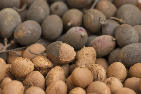 Primer plano Dialium guianense fruta — Foto de Stock