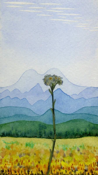 Prado Alpino da Primavera. Pintura aquarela — Fotografia de Stock