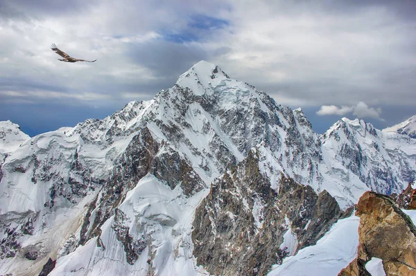 Obrovský vrchol skalnaté hory sněhu a ledu a orel — Stock fotografie
