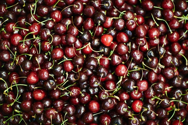 Un mucchio di ciliegie appetitose — Foto Stock