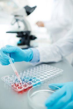 Hemşirenin el holding pipet