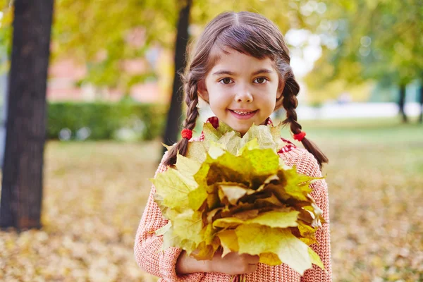 Дівчина з купою жовтого кленового листя — стокове фото