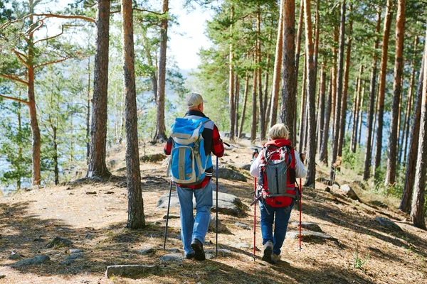 Äldre par vandring i skogen — Stockfoto