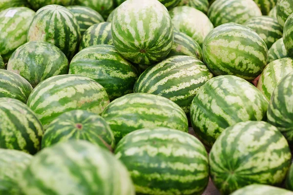 Högen av färska vattenmeloner till salu — Stockfoto