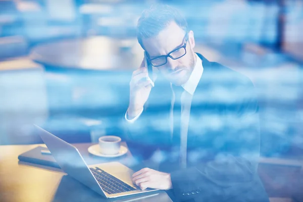 Serious executive working in cafe — Stock Photo, Image