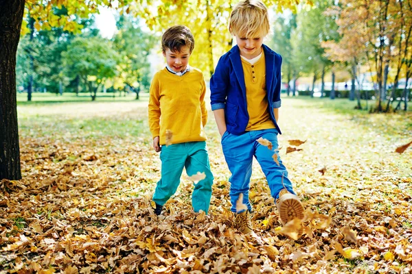 Jungen spielen mit Blättern im Park — Stockfoto