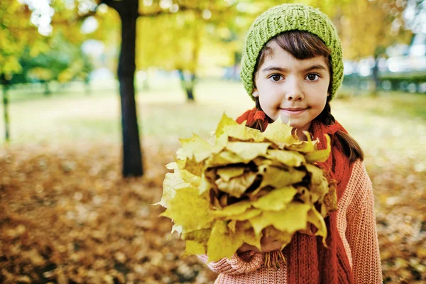 Девушка с букетом кленовых листьев — стоковое фото