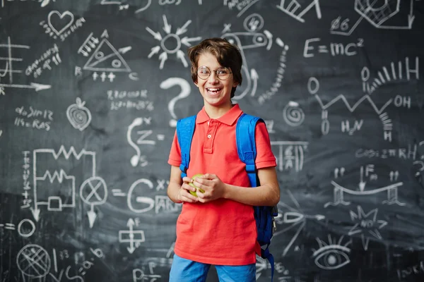 Happy elementary schoolboy — Stock fotografie