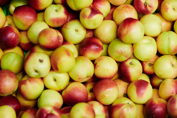 Grupp av gula och röda nektariner — Stockfoto