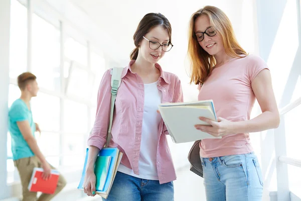 Two students discussing lecture notes — Stock Photo, Image