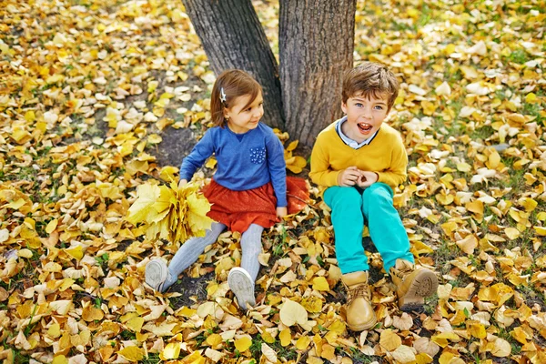 Rodzeństwo, grając w jesieni Park — Zdjęcie stockowe