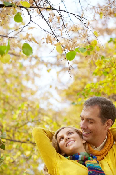 Par embracing under hösten träd — Stockfoto