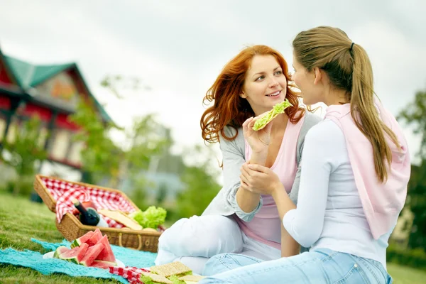 Freundinnen beim Picknick — Stockfoto