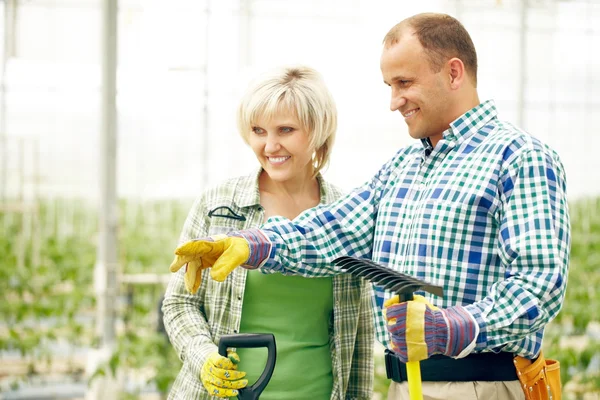 Bauern arbeiten gemeinsam im Garten — Stockfoto