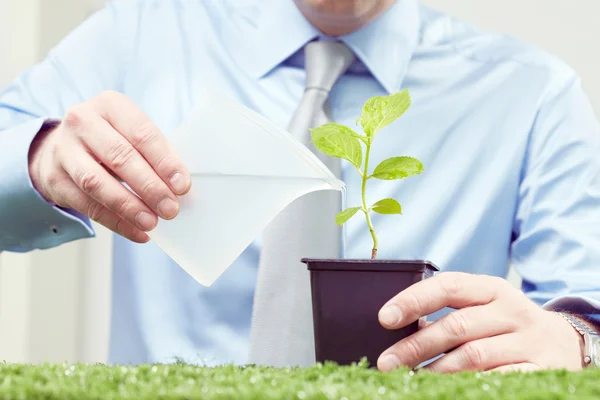 Mãos masculinas regar vaso planta — Fotografia de Stock