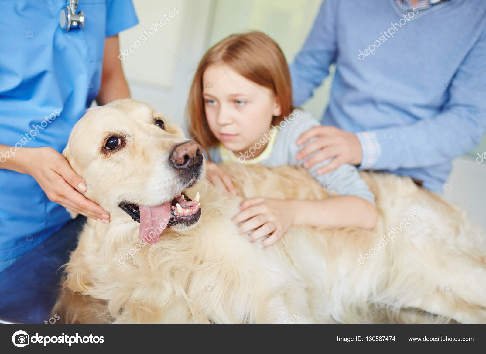 Sick animal in clinic Stock Photo by ©pressmaster 130587474