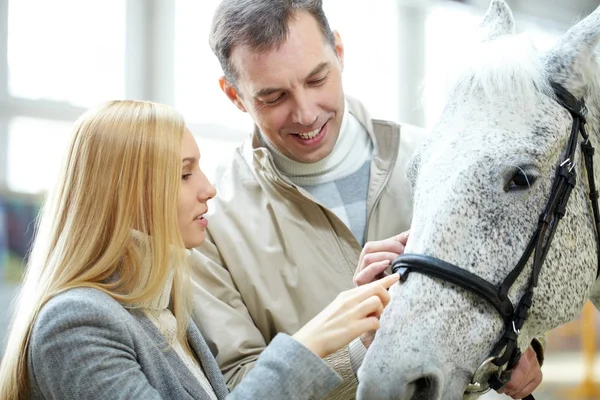 Hombre mostrando a su novia un caballo — Foto de Stock