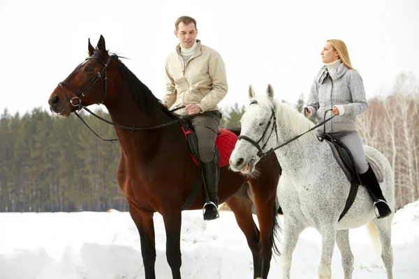 Wife and husband riding on horses — Stock Photo, Image