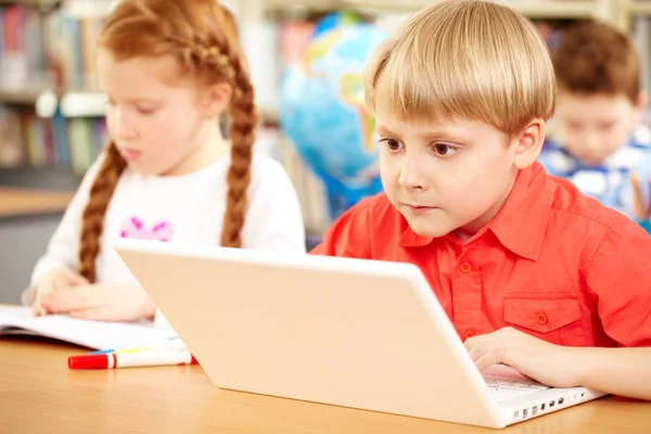 Schoolboy absorbed in computer work — Stock Photo, Image