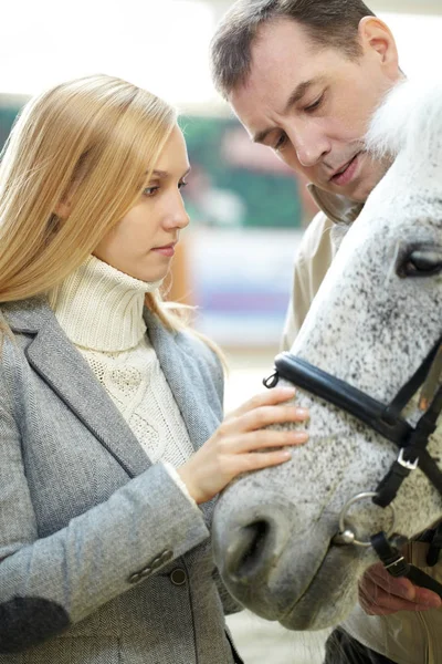 Young couple stroking a horse — Stock Photo, Image
