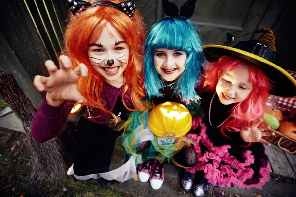Meninas assustadoras em perucas com jack-o-lanterna — Fotografia de Stock