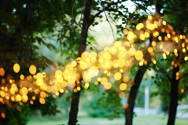 Guirnaldas brillantes en los árboles en el parque —  Fotos de Stock