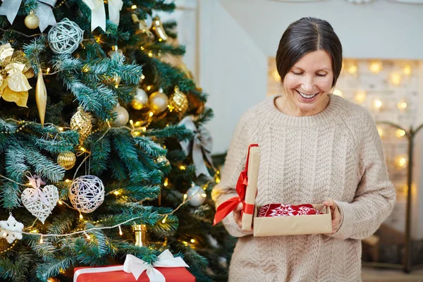 ผู้หญิงที่มีของขวัญคริสต์มาส — ภาพถ่ายสต็อก