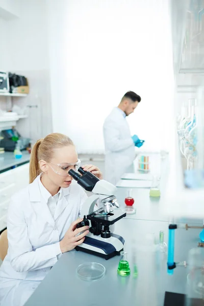 Cientistas que trabalham no escritório — Fotografia de Stock