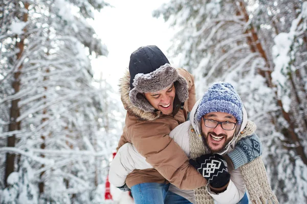 Vänner i vinter skog — Stockfoto