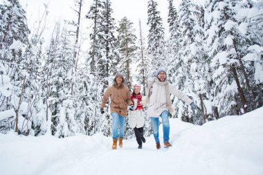 Kış orman arkadaşlar