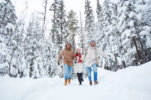 Vänner i vinter skog — Stockfoto